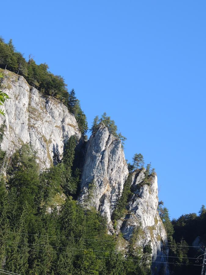 Penzion Borovica Stratená Buitenkant foto