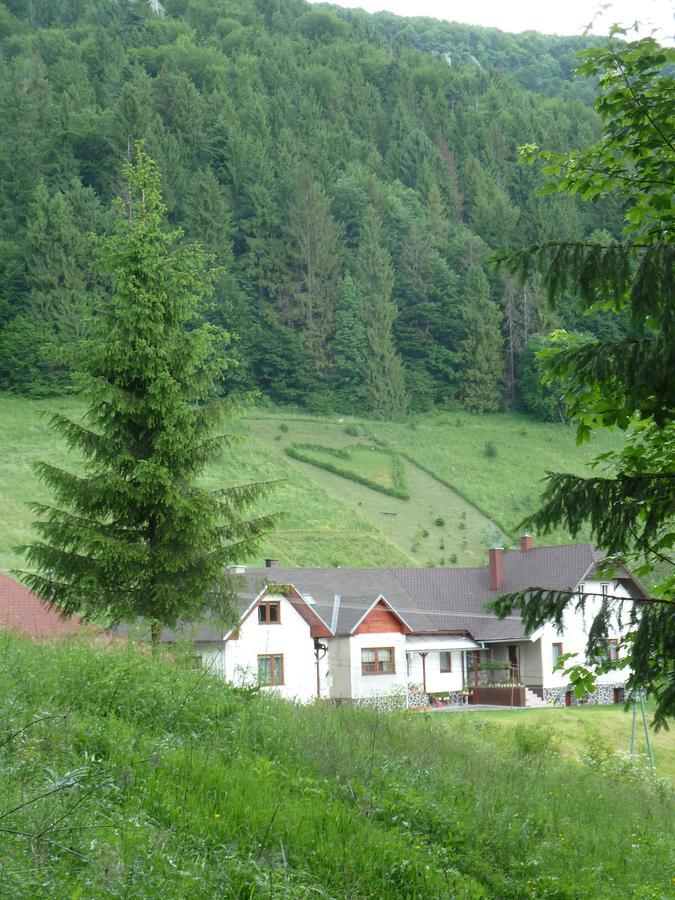 Penzion Borovica Stratená Buitenkant foto